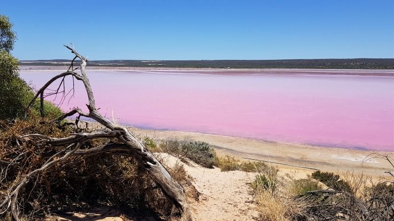 Pink Lake at Port Gregory our 3rd stop during our drive from Perth to Darwin