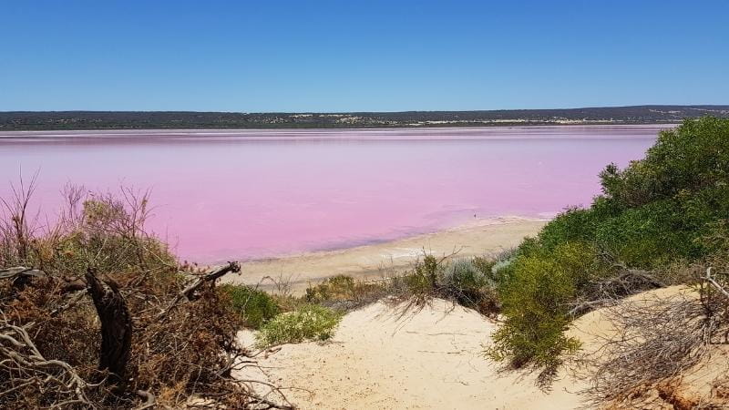 The Pink Lake - Hut Lagoon in WA