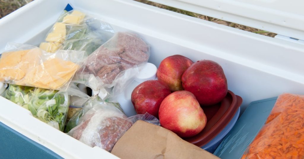 Fresh food in a car fridge